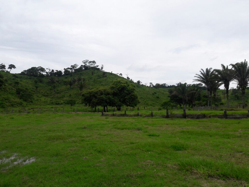 Terreno en VentaHermosa propiedad ubicada en cantón Peji    Foto 6
