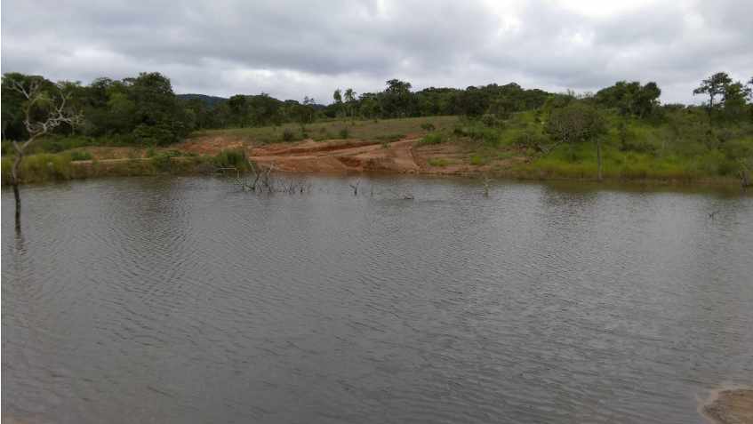 Terreno en VentaPropiedad ganadera en San Javier, 24km al oeste camino hacia El Puente    Foto 18