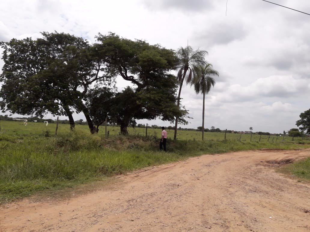 Terreno en VentaWarnes    Foto 7