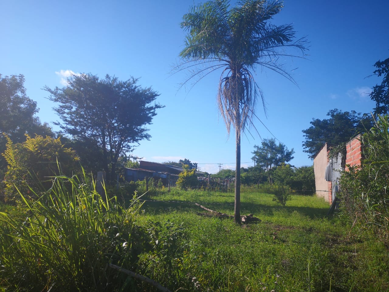 Terreno en VentaZona Los Lotes, Av. Santa Cruz    Foto 2