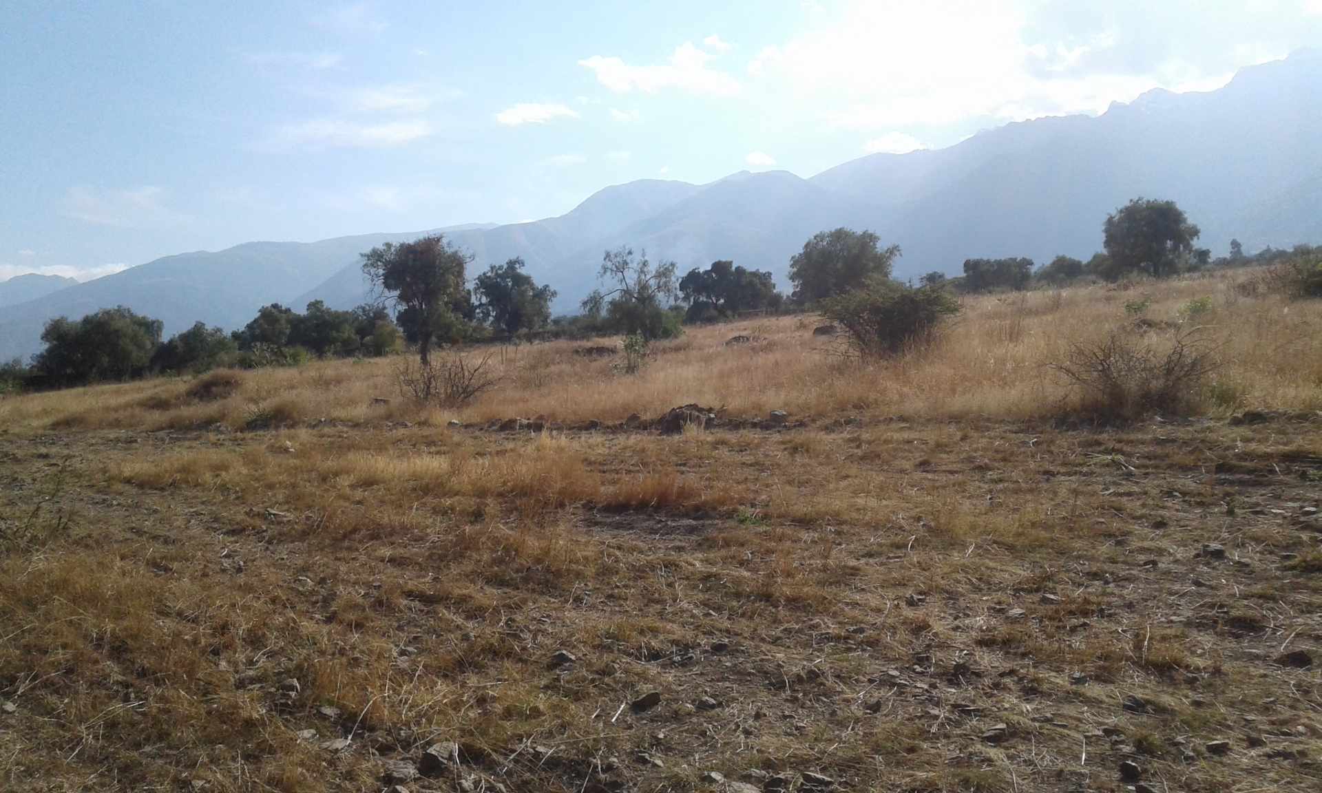 Terreno en Quillacollo en Cochabamba    Foto 2