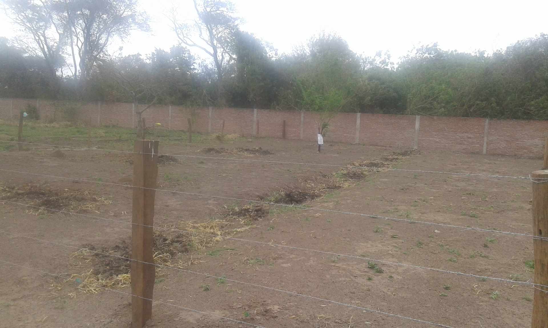 Terreno en VentaURBANIZACION ANDALUCIA KM. 5 1/2 CARRETERA A COTOCA, A 100 M DEL PAVIMENTO, (LA ZONA DEL FUTURO EN SANTA CRUZ), A CUADRAS DEL PARQUE ECOLOGICO, Foto 3