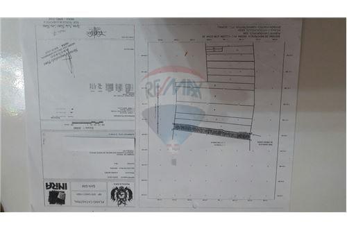 Terreno en Doble vía La Guardia en Santa Cruz de la Sierra 5 dormitorios 3 baños  Foto 16