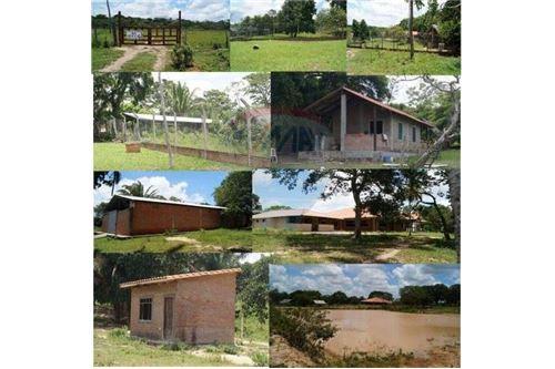 Casa Zona urubo - comunidad cedro tarope - cantón tereb Foto 2