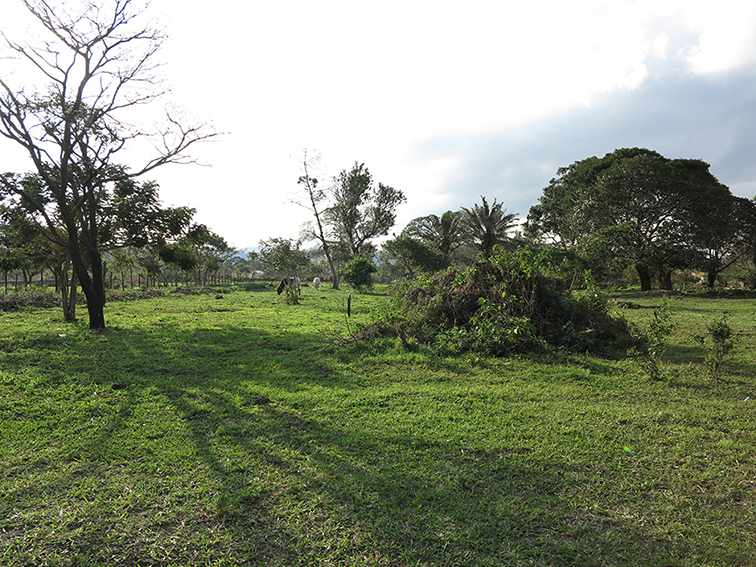 Quinta propiedad agrícola en VentaLa Guardia a 500 m de la Doble vía La Guardia    Foto 10