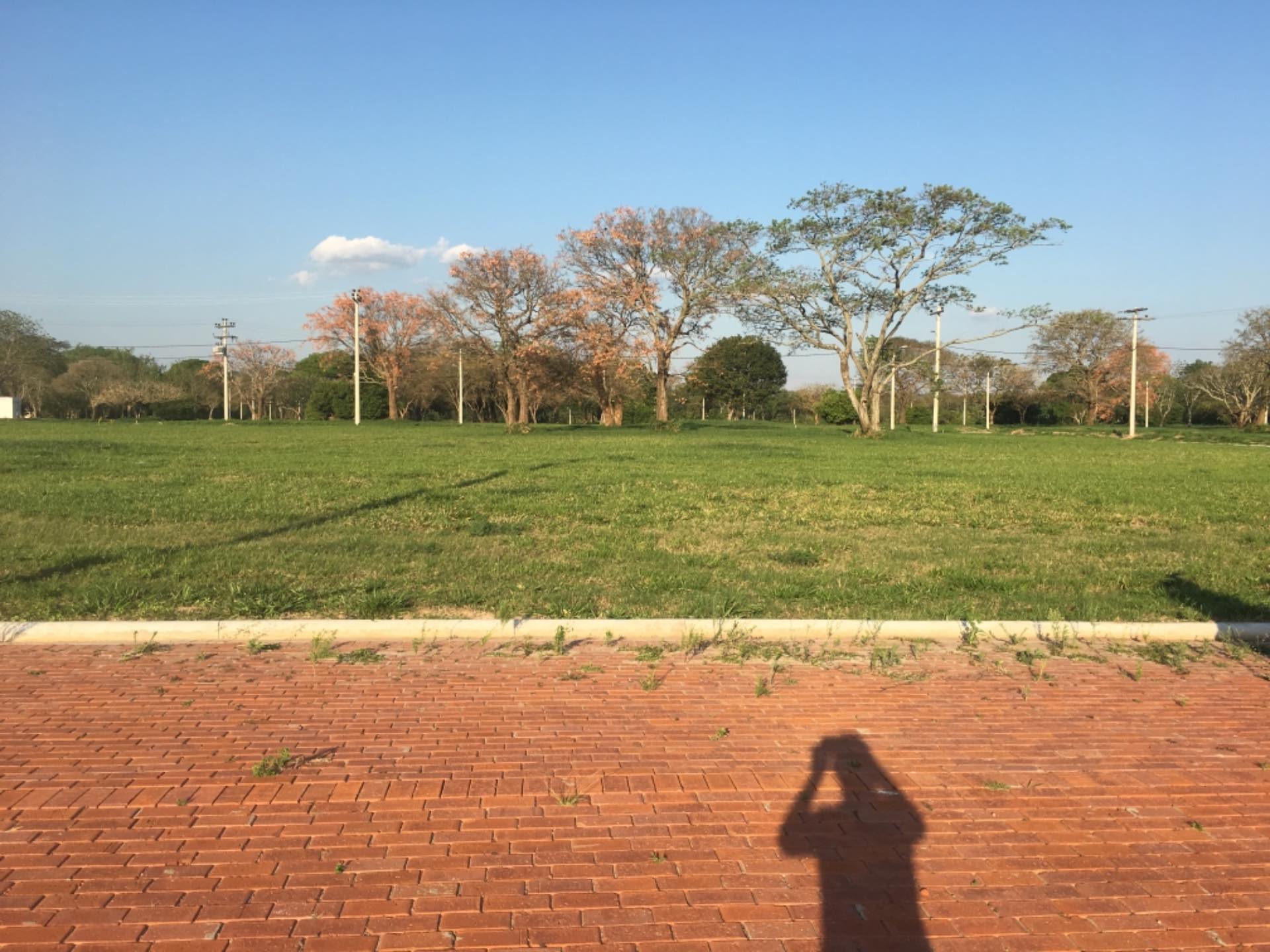 Terreno en Urubó en Santa Cruz de la Sierra    Foto 1