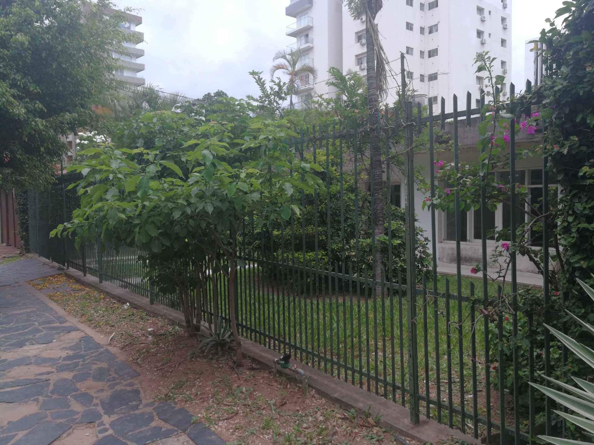 Casa en AlquilerAV. LOS CUSIS 3 dormitorios 2 baños 3 parqueos Foto 8