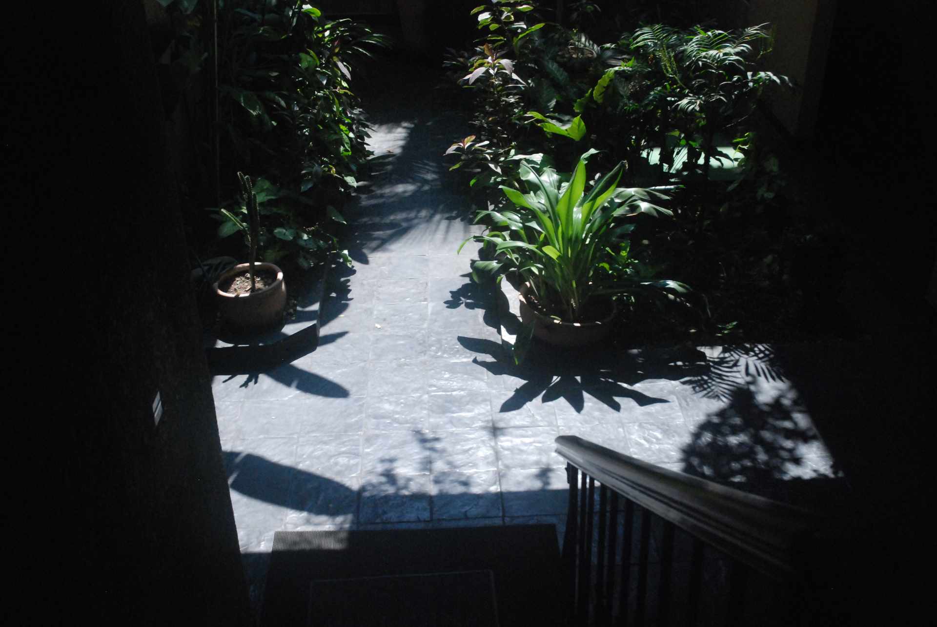 En Alquiler a $us 350 Foto 14