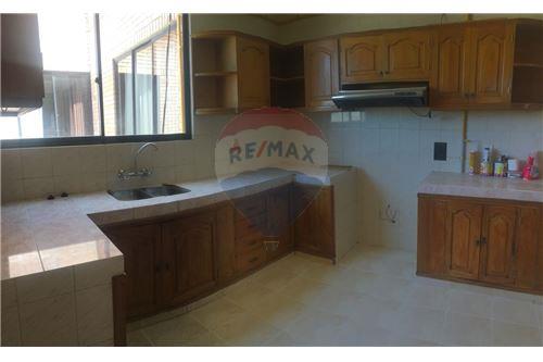 Departamento en AlquilerSotomayor  Foto 4