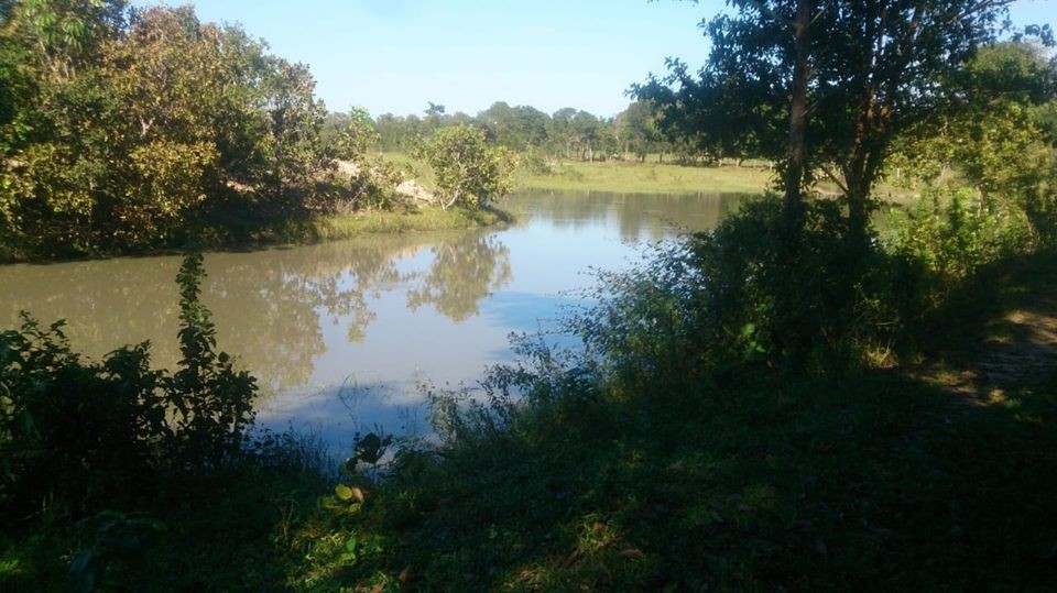 Quinta propiedad agrícola en VentaEL CARMEN RIVERO TORREZ Foto 2