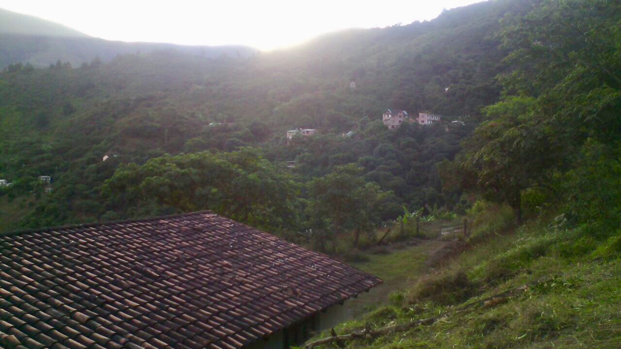 Terreno en Chulumani en Chulumani    Foto 9