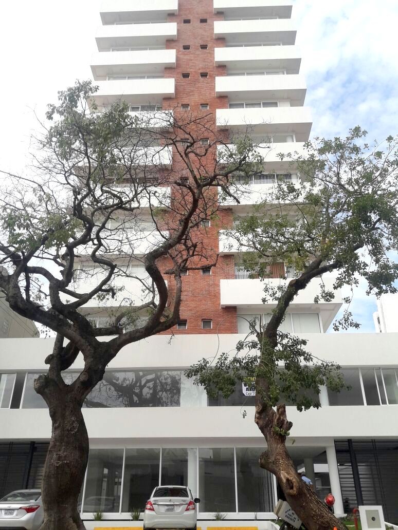 En Alquiler a $us 800 Foto 1