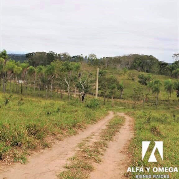 Terreno en Entre 7mo y 8vo anillo Norte en Santa Cruz de la Sierra    Foto 1