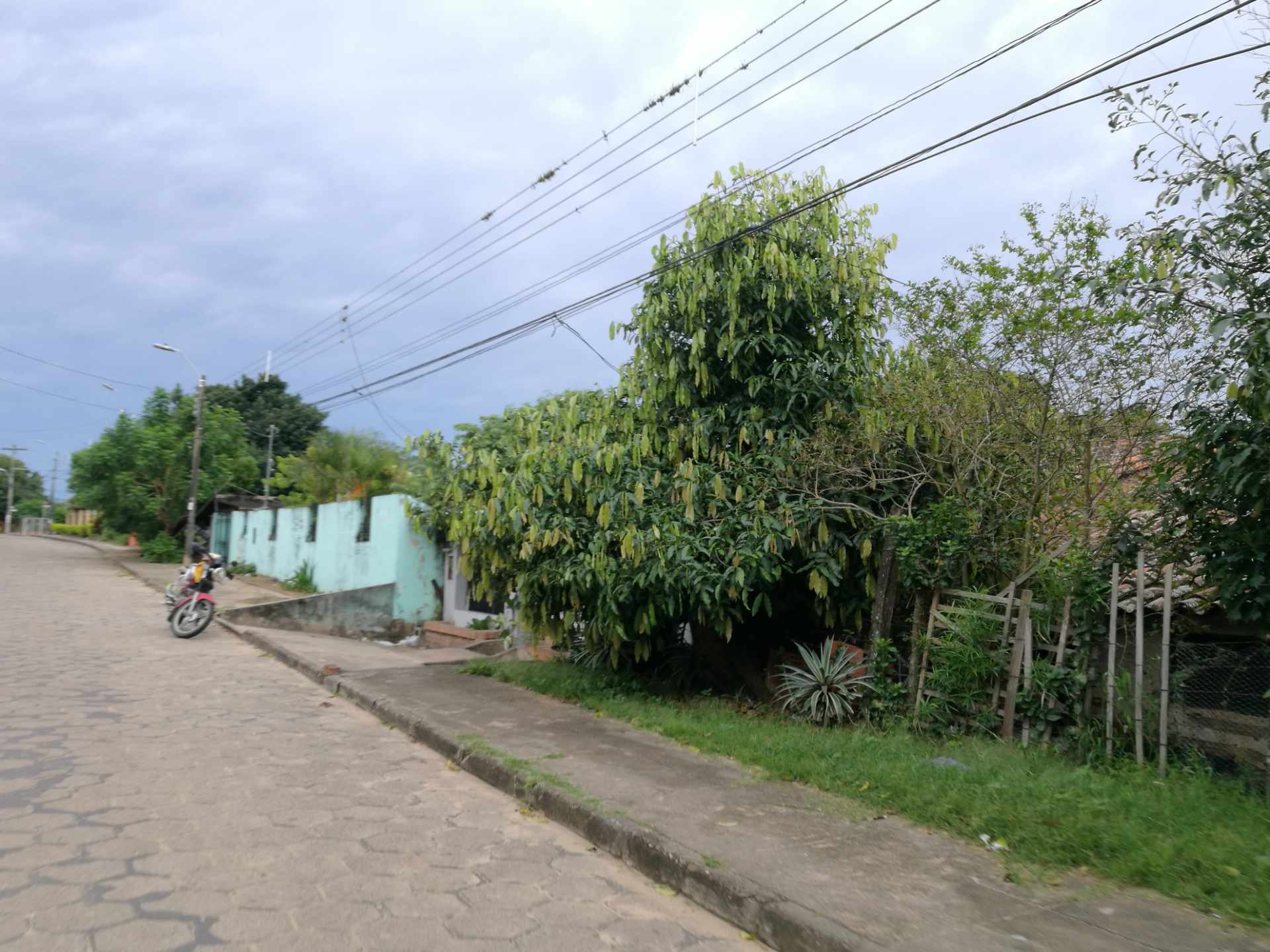Terreno en Venta?TERRENO EN LA GUARDIA barrio “EL BIBOSI”    Foto 8