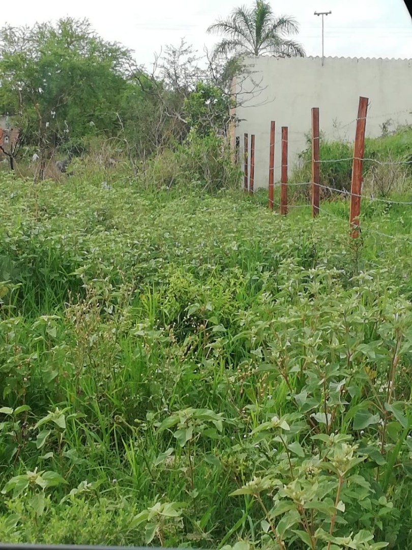 En Venta a $us 24,995 Foto 3