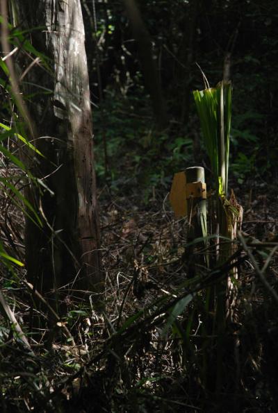 7979162c11d352ab97e6ed11c8fc83c7be6657