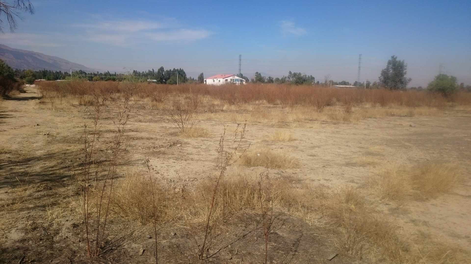 Terreno en VentaEN EL PASO DISTRITO 8 QUILLACOLLO COCHABAMBA    Foto 8