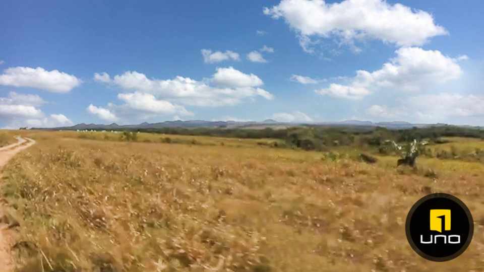 Quinta propiedad agrícola en VentaSOBRE CARRETERA A SAN JAVIER Foto 2