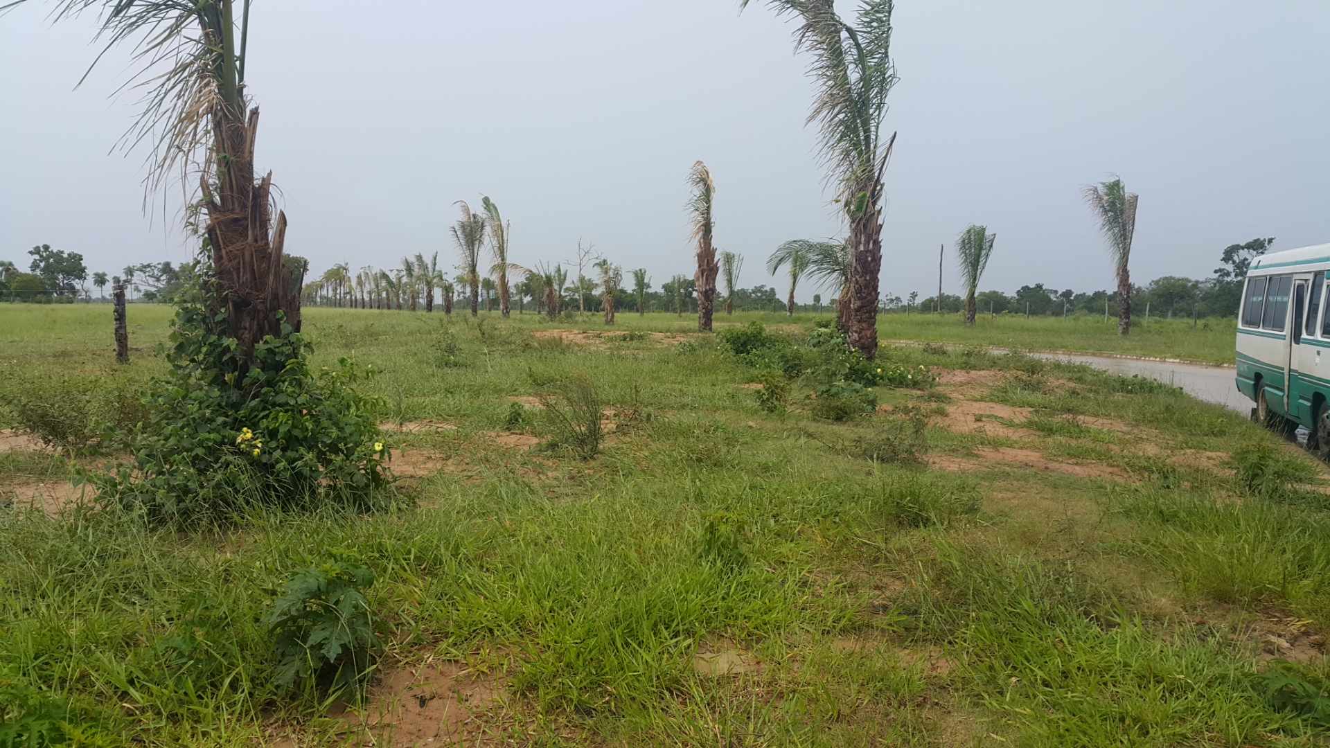 Terreno Urbanización LOS HORCONES - Urubó Foto 8