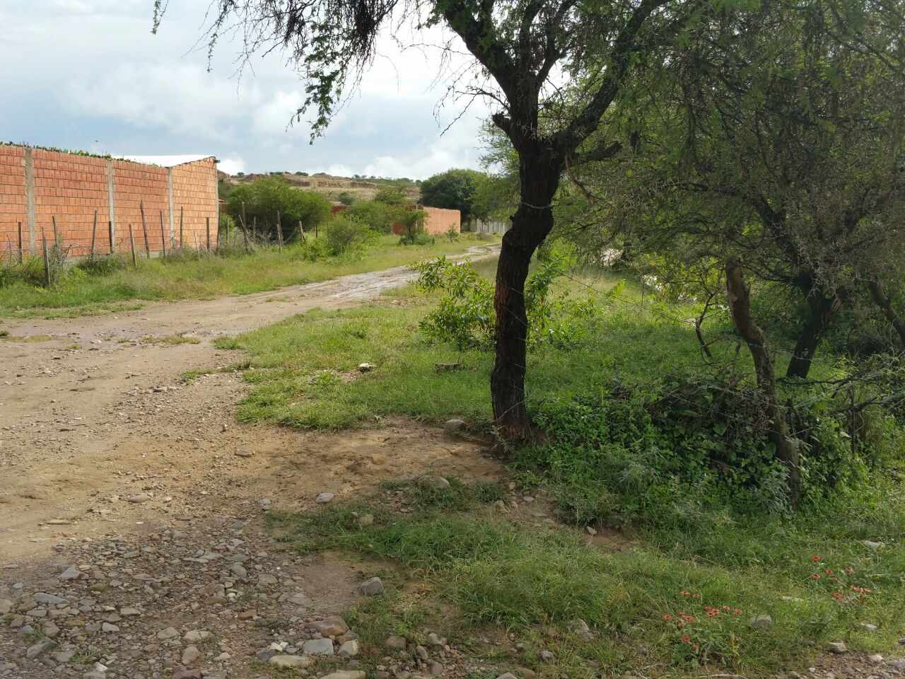Terreno en SENAC en Tarija    Foto 2