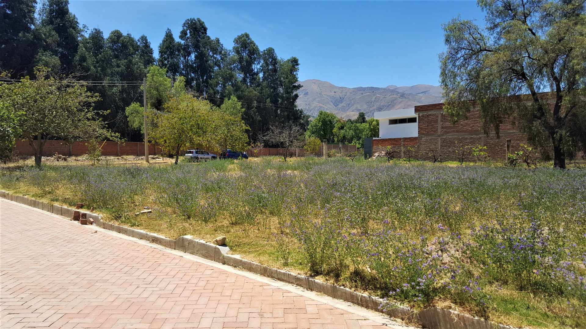 Terreno en Tiquipaya en Cochabamba    Foto 3