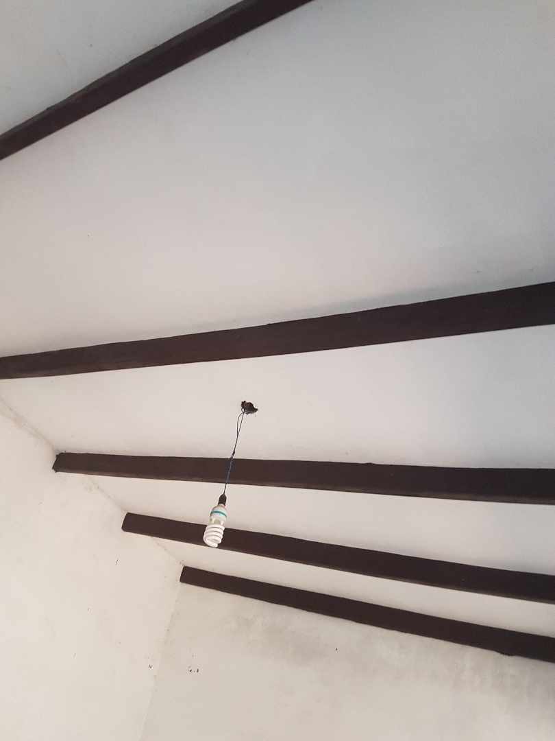 Casa en Entre 6to y 7mo anillo Norte en Santa Cruz de la Sierra 2 dormitorios 1 baños 2 parqueos Foto 10