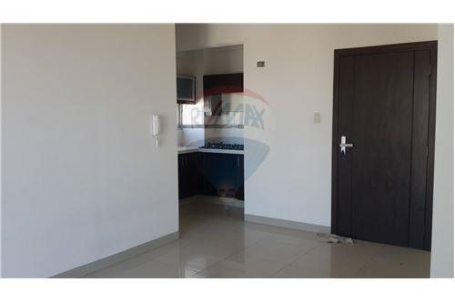 Departamento en Entre 1er y 2do anillo Sur en Santa Cruz de la Sierra 7 dormitorios 2 baños 1 parqueos Foto 4