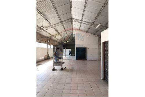 Galpón en Entre 2do y 3er anillo Oeste en Santa Cruz de la Sierra    Foto 4