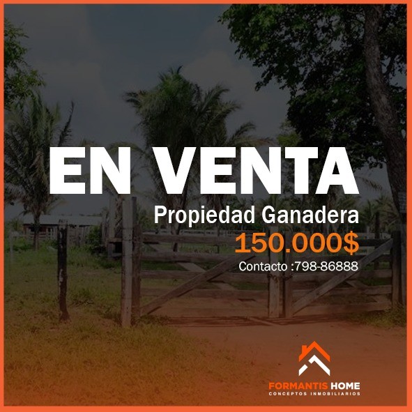 Quinta propiedad agrícola en VentaPROPIEDAD GANADERA EN VENTA CARRETERA A GUARAYOS Foto 2