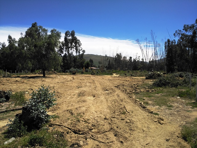 Terreno en Punata en Cochabamba    Foto 5