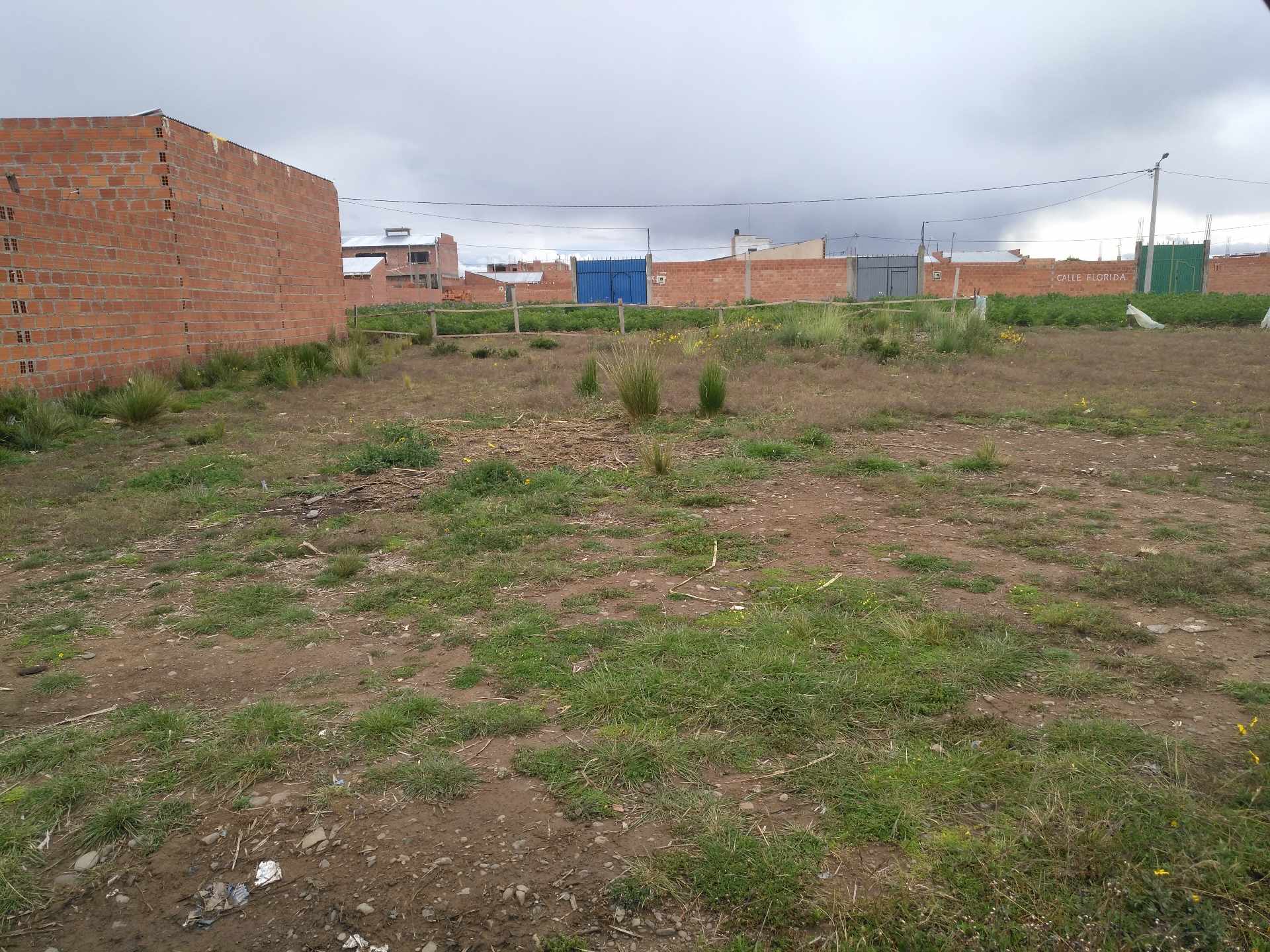 Terreno en VentaEl Alto, urbanizacion San Bartolome, calle Arenales    Foto 7
