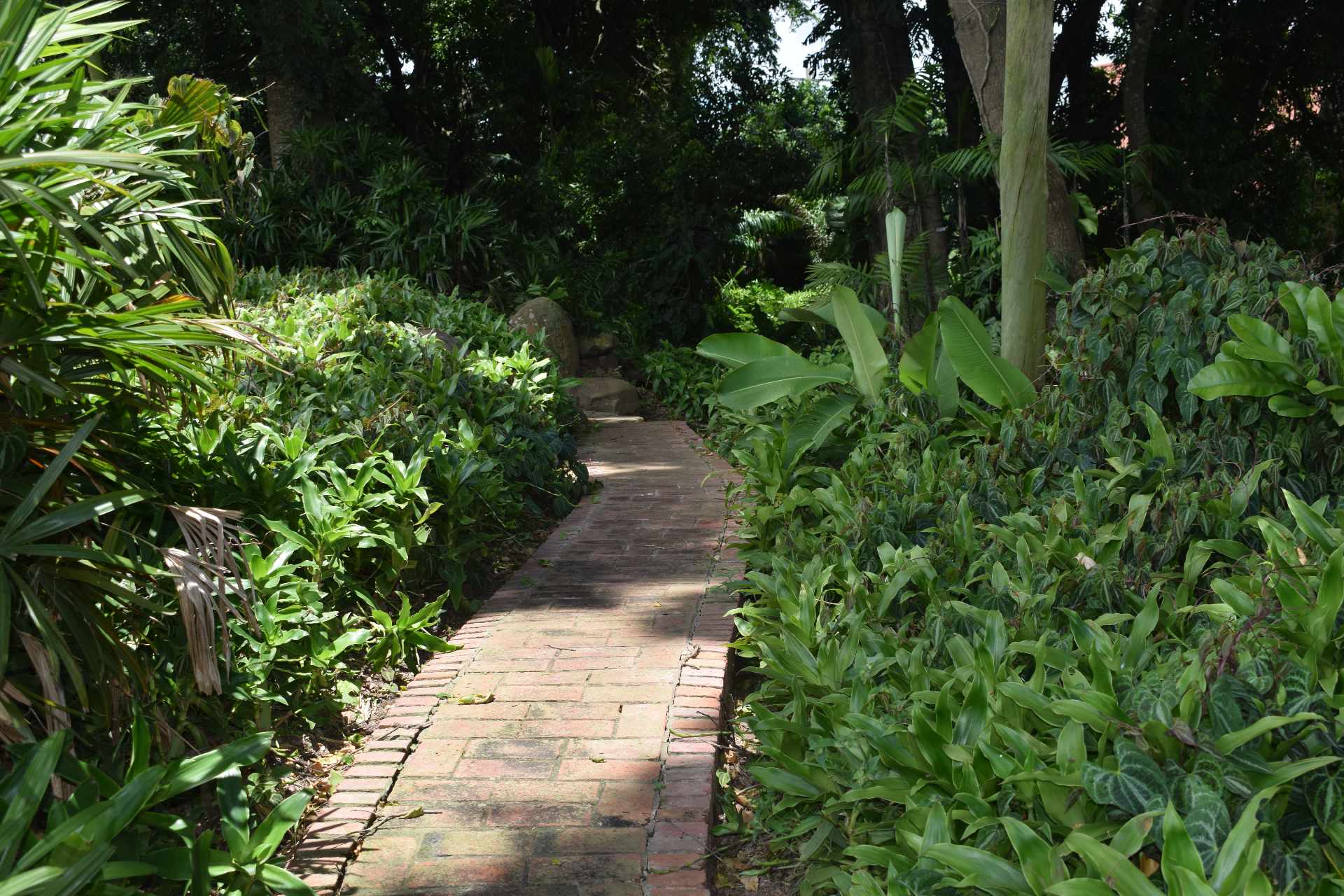 En Alquiler a $us 5,000 Foto 16