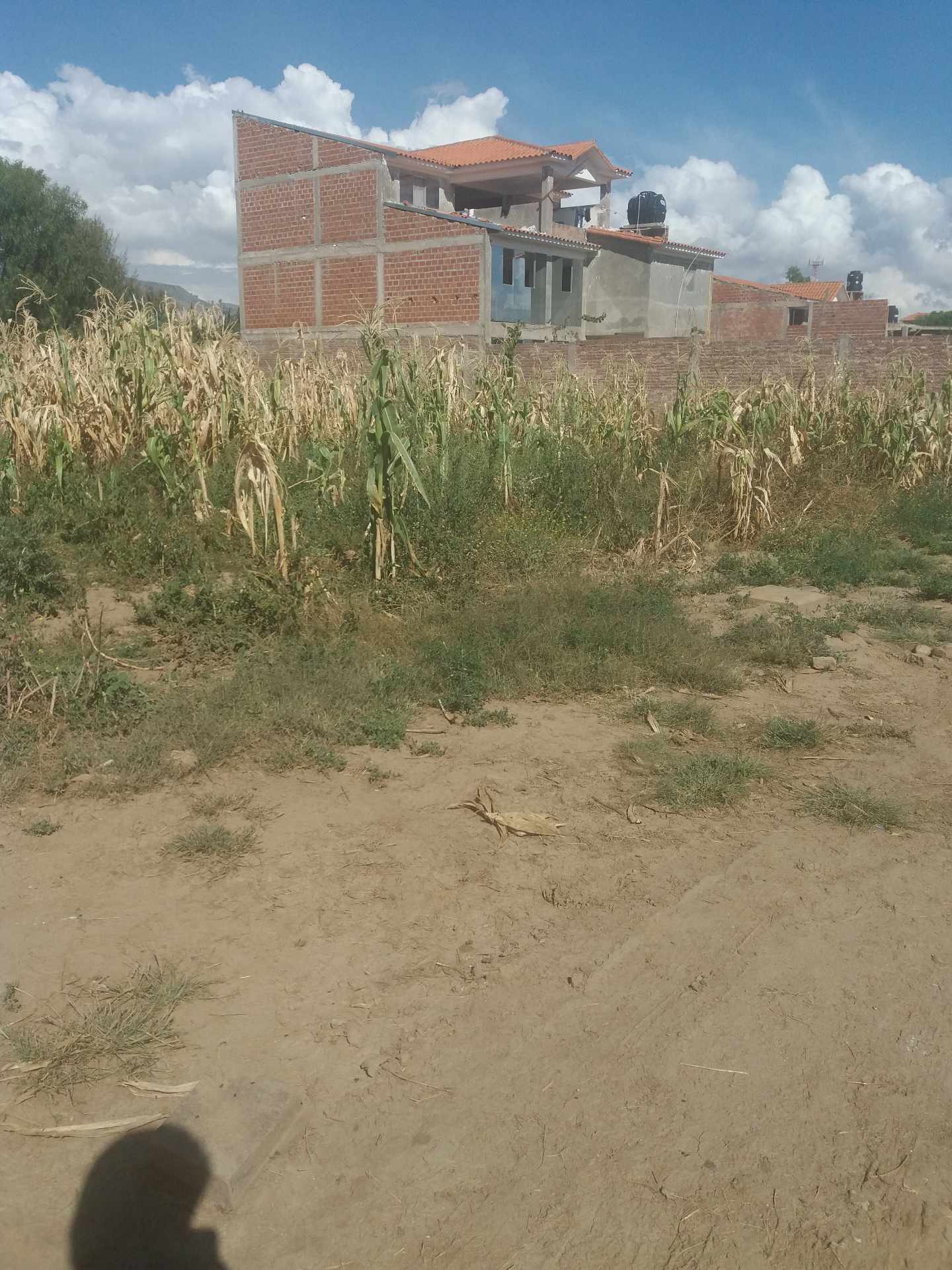 Terreno en VentaAV. PANAMERICANA ESQUINA COLEGIO SAN ANTONIO, CAMINO EN SENTIDO A MOLLE MOLLE; ZONA SUD PUCARA Foto 3