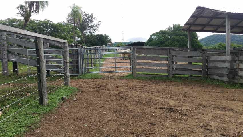 Terreno en VentaPropiedad ganadera en San Javier, 24km al oeste camino hacia El Puente    Foto 17