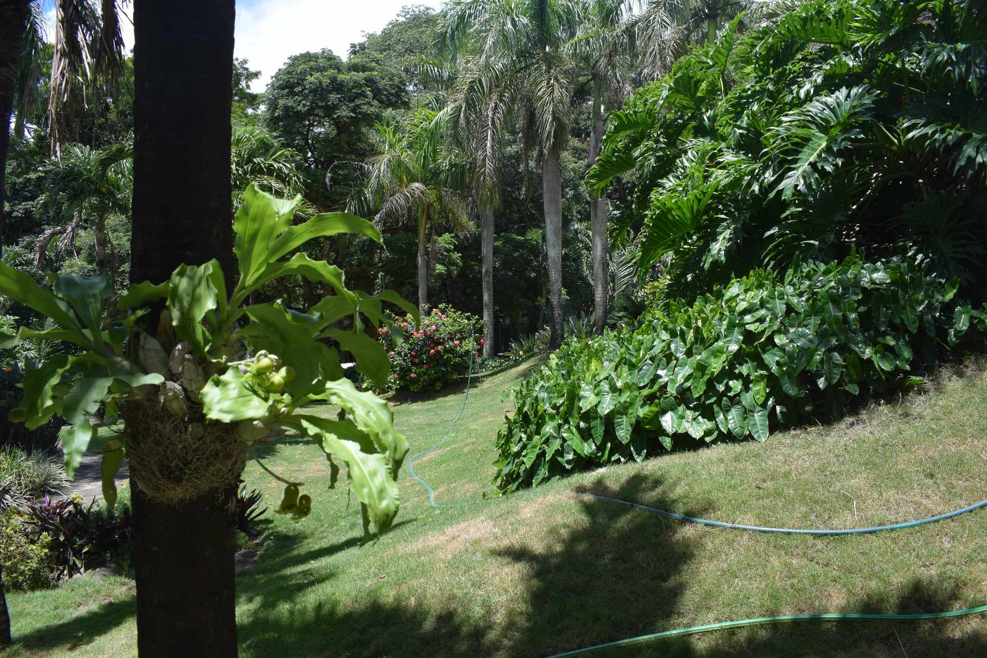 En Alquiler a $us 5,000 Foto 18