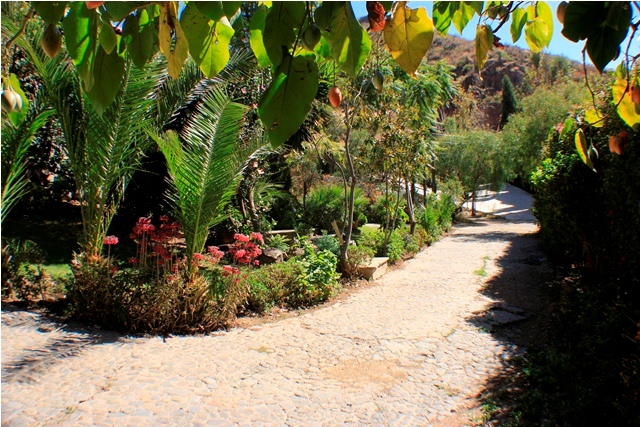 Casa en VentaCalle Innominada, Urb. El Paraiso 4 dormitorios 5 baños  Foto 19