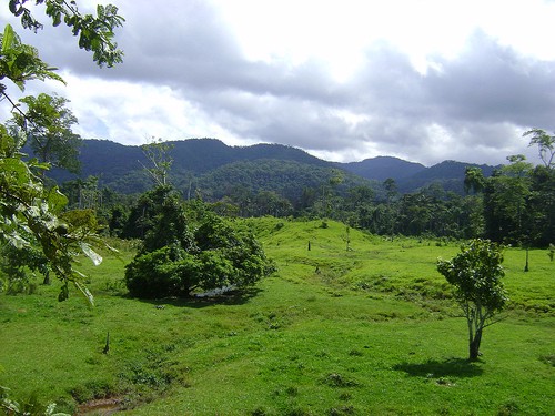 Terreno en VentaTerreno de 450 hectareas de selva virgen    Foto 6