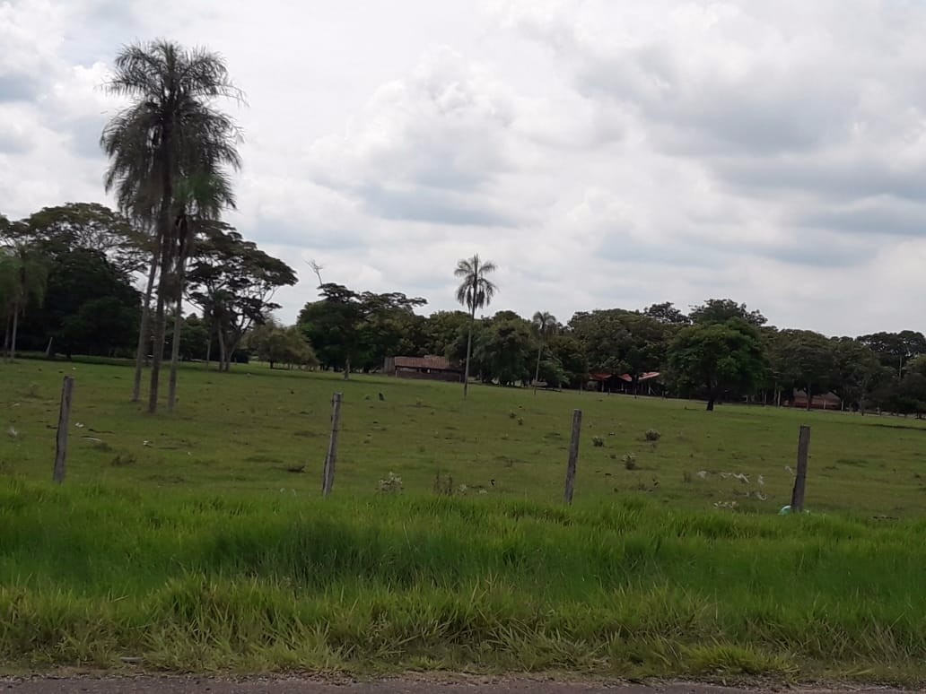 Terreno en VentaWarnes    Foto 4