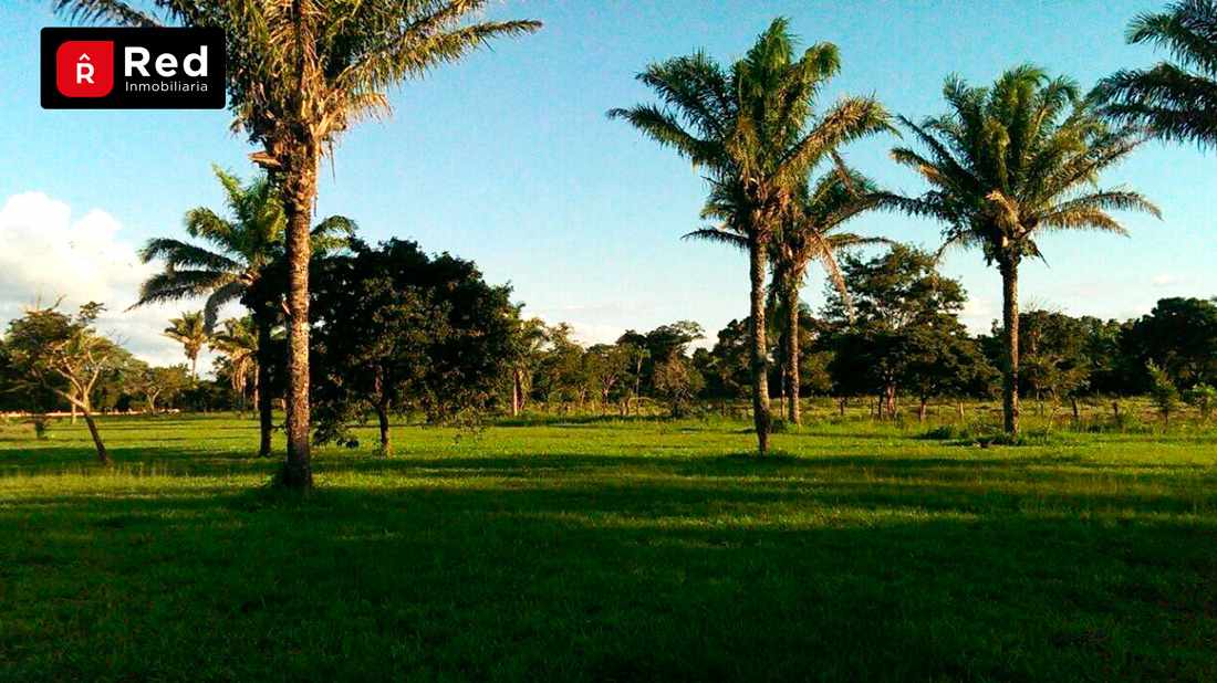 Terreno en VentaTERRENOS EN URB. CAMPESTRE PORONGUITO Foto 9