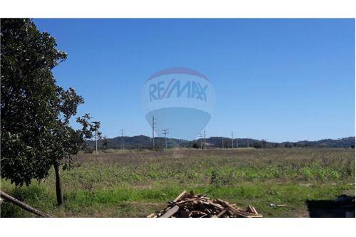Terreno en Doble vía La Guardia en Santa Cruz de la Sierra 5 dormitorios 3 baños  Foto 6