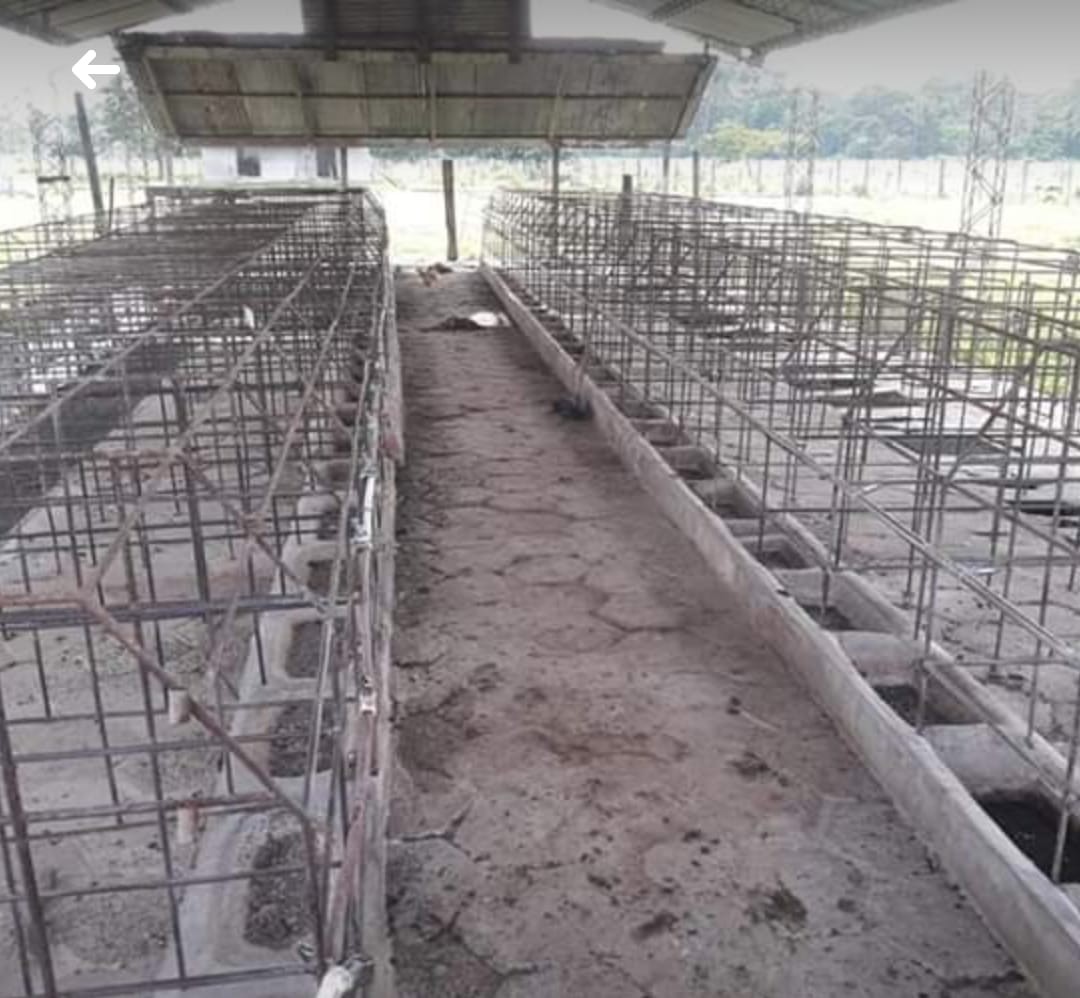 Quinta propiedad agrícola en VentaPASANDO  LA TRANCA DE MONTERO / PALOMETILLO Foto 5