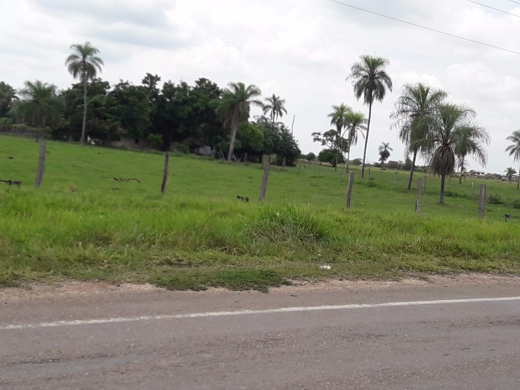 Terreno en VentaWarnes    Foto 1