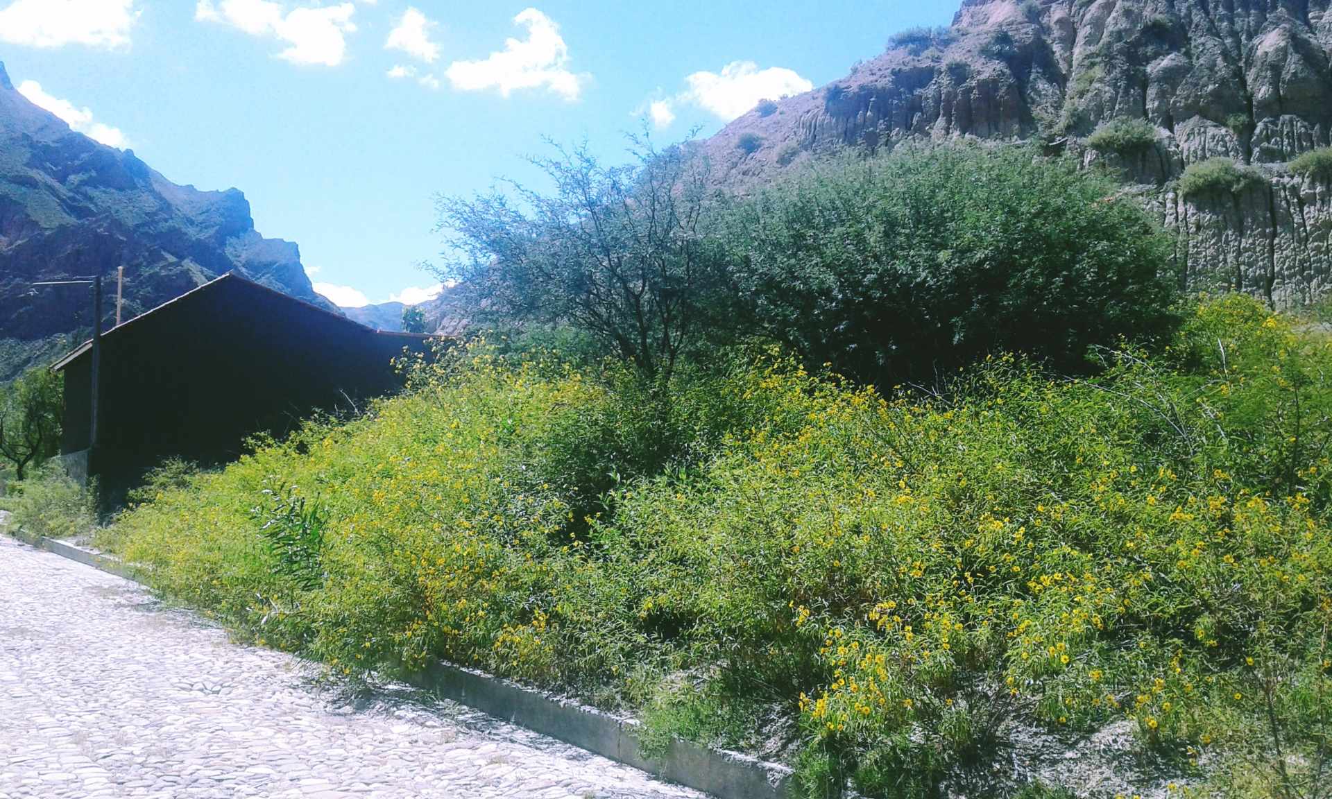 Terreno en VentaZona Carreras y Huajchilla Foto 16