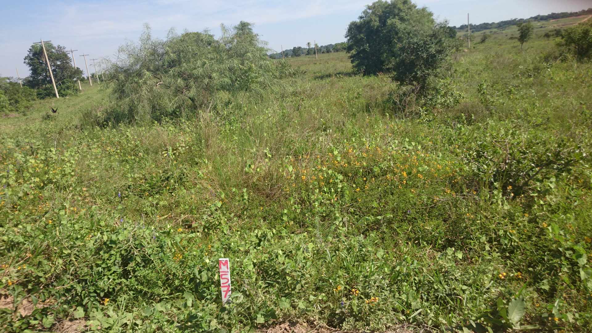 Terreno en VentaUrbanización CIUDAD del URUBO.    Foto 8