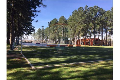 Casa en VentaCalle Sauce Sevilla Pinatar Foto 12