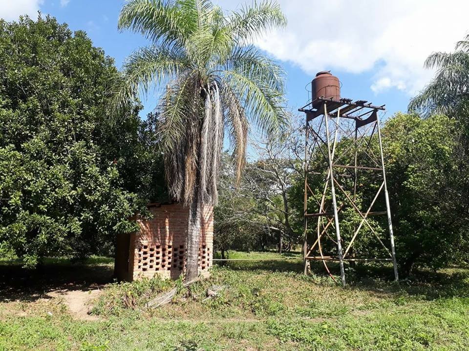 Quinta propiedad agrícola Ubicada cerca de la problacion el torno perteneciente al Dpto de santa cruz , en la comunidad de jorochito a 300 mt de la avenida.  Foto 2