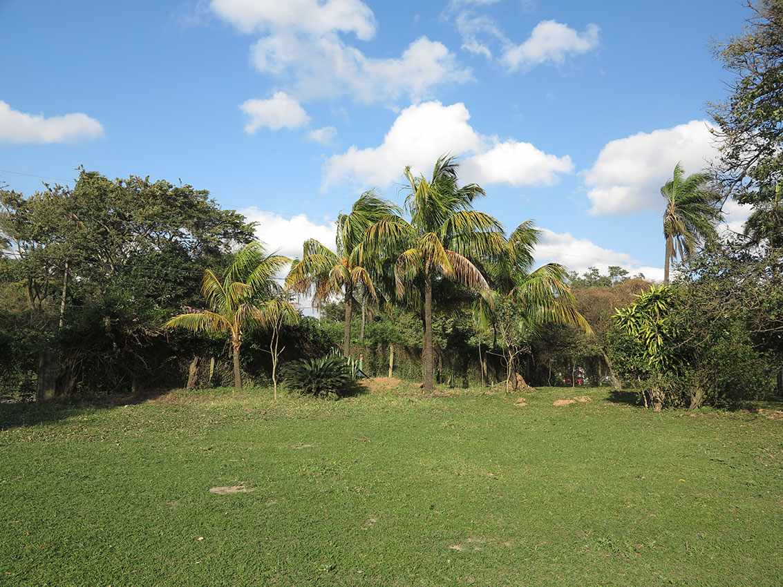 Quinta propiedad agrícola en La Guardia en La Guardia    Foto 13