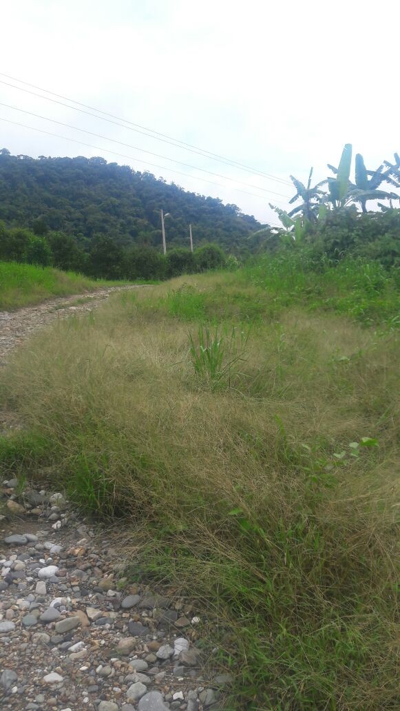 En Venta a $us 10,000 Foto 4