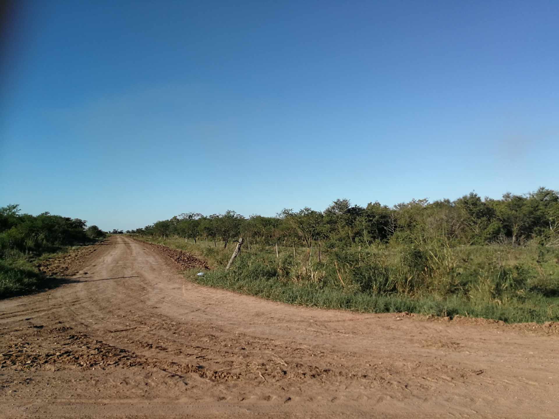 Terreno en VentaPor carretera al Norte, entrando por parque industrial Latinoamericano, Candelaria, Villa Barriento.    Foto 3