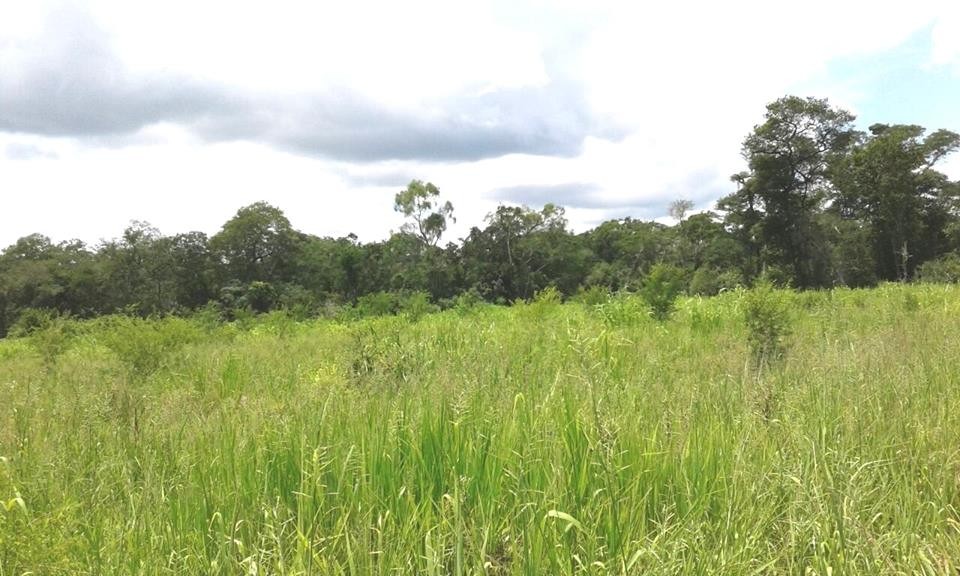 Quinta propiedad agrícola en VentaEL CARMEN RIVERO TORREZ Foto 9